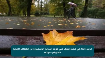خريف 2025 في مصر: تعرف على موعد البداية الرسمية وأبرز الظواهر الجوية المتوقع حدوثها